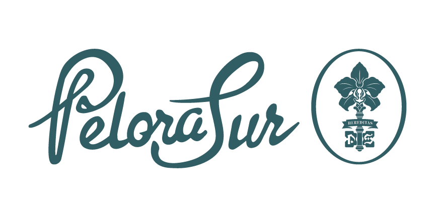 Pelora Sur
